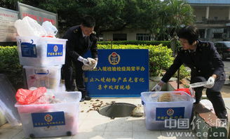 公众平台 东莞检验检疫局常平办事处集中销毁一批禁止携带入境动物产品