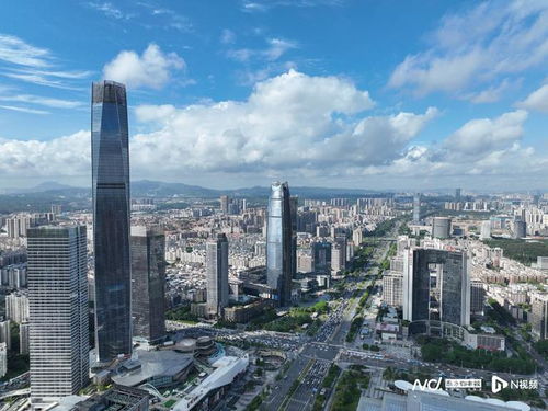 更大决心 更大力度 东莞出台多项重磅惠企政策 东莞一周