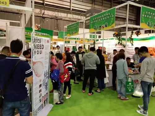 走起 东莞第四届农产品博览会开幕 吃喝玩乐逛不停